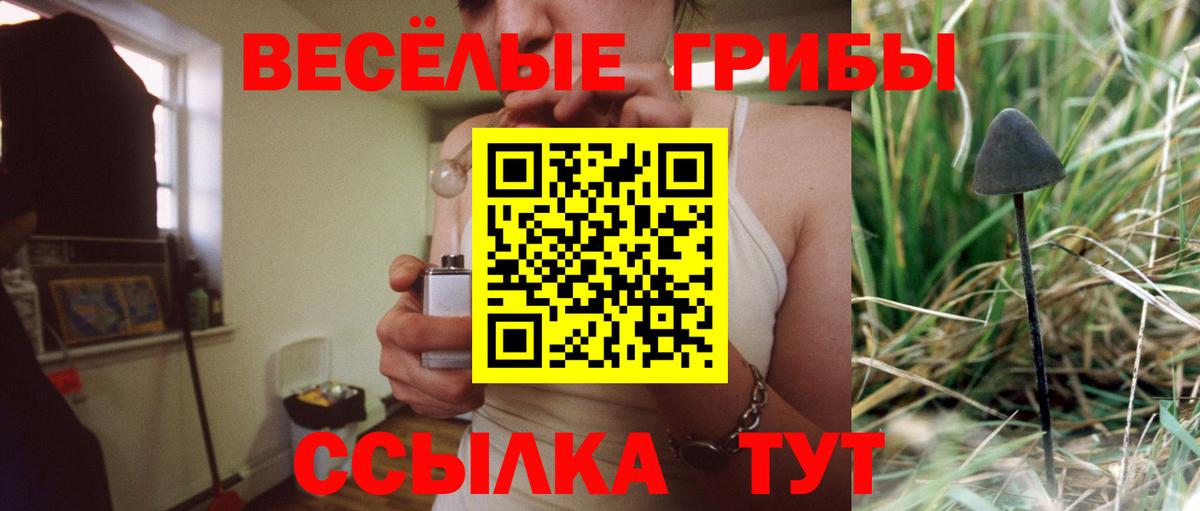 Псилоцибиновые грибы GOLDEN TEACHER  Галлюциногенные грибы Psilocybine cubensis  Вход с VPN  Мелеуз 